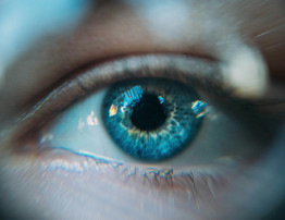 M&ecirc;s de Conscientiza&ccedil;&atilde;o sobre Degenera&ccedil;&atilde;o Macular e Baixa Vis&atilde;o
